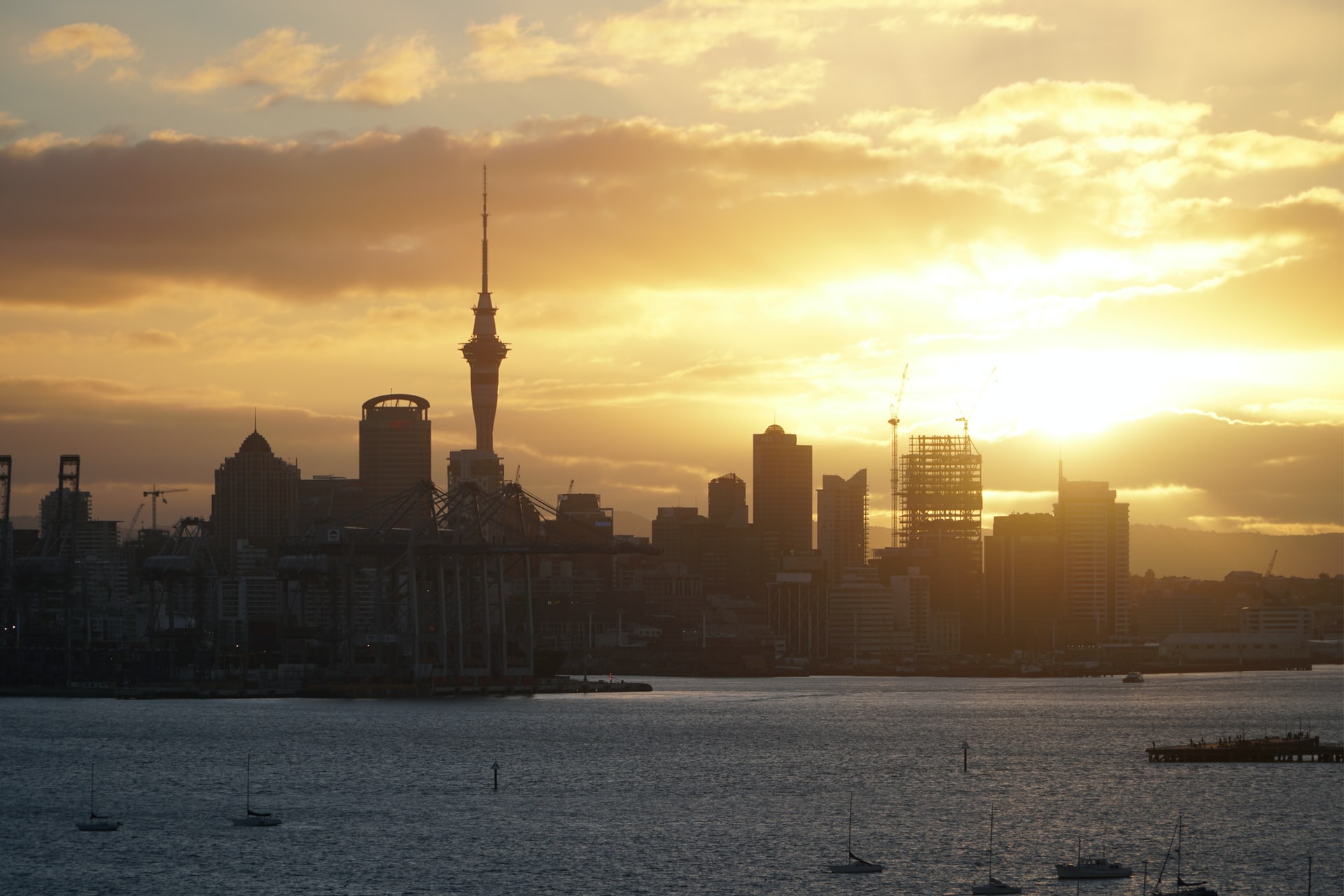 New Zealand Scholarships: A Complete Guide