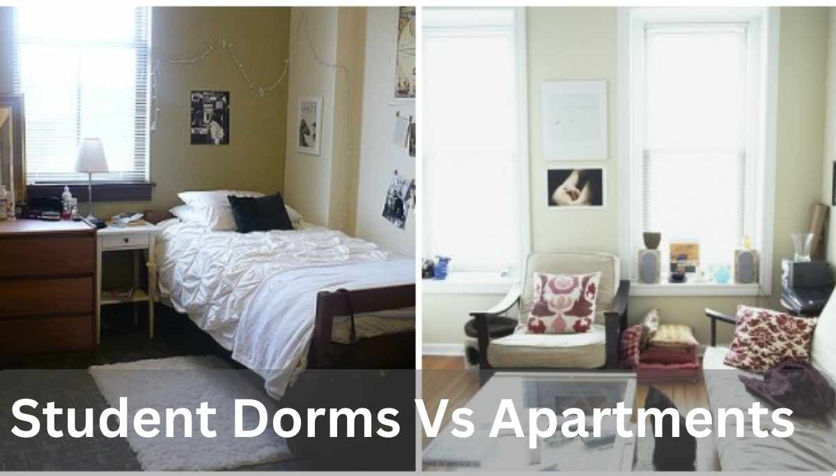 Student Dorms Vs Apartments Rent Difference UniCreds
