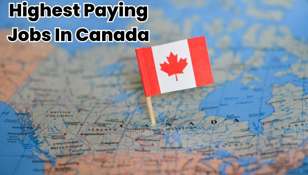 Highest Paying Jobs In Canada